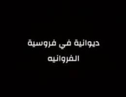 ديوانيه في فروسية الفروانيه 