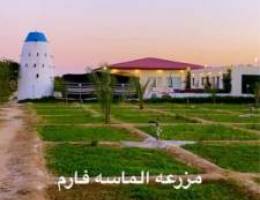  ايجار مزرعه بالعبدلي سعر خاص للويكند 