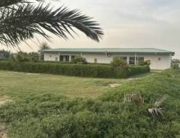  للايجار مزرعه في الوفره 