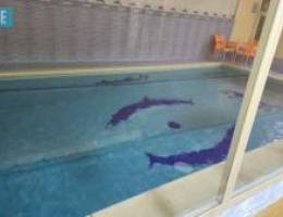  شاليه للاجار 