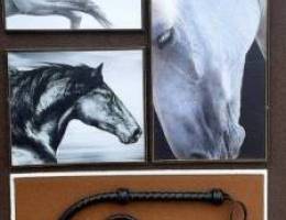  مطلوب شقه في جابر العلي ٣ غرف  لعائله صغيره ( طفلين ) 