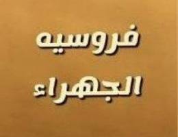  مطلوب إسطبل بالجهراء 