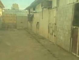  نص اسطبل بدون كهربا 