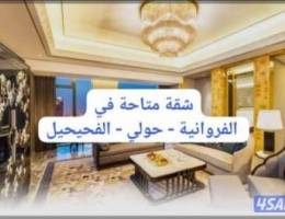  للايجار بالمطلاع شقه بالسطح غرفه كبيره وحمام ومطبخ كبير بدون السطح N11 