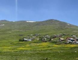  للايجار بيت بطن وظهر 