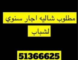  مطلوب شاليه اجار سنوي 