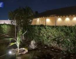  جاخور كامل  بالهجن للايجار 