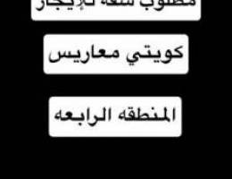  مطلوب شقه معاريس كويتي 