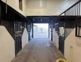  للايجار اسطبل مدخل خاص بالوفره طريق ٥٠٠ 