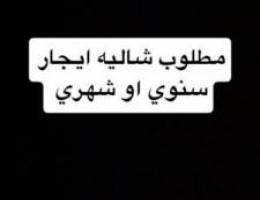  مطلوب شاليه ايجار سنوي 