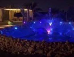  للإيجار مزرعه بالعبدلي يومي 