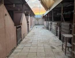  للإيجار شهري 