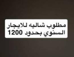  مطلوب شاليه للايجار السنوي او الشهري 