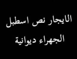 الايجار نص اسطبل ديوانية 