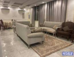  جاخور شهري يومي 