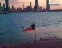  مكتب للايجار ف السالمية مساحه 35متر يحمل الرقم الالي مجمع جديد البنيان 