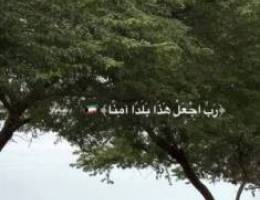  شقه للايجار 