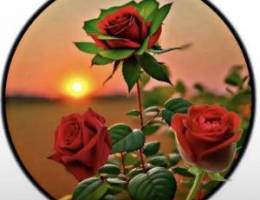  شقة للإيجار سوبر ديلوكس عدد ثلاث غرف غ الشغالة مع حمامها صالة كبيرة 