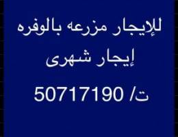  للإيجار مزارع بالوفره 