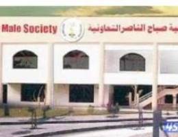  صباح الناصر 