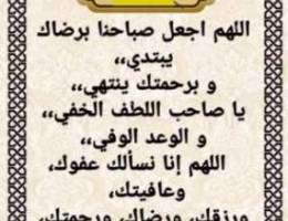  للايجار شقة بالفردوس 