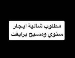  مطلوب شالية ايجار سنوي 
