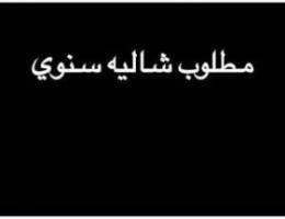  مطلوب شاليه سنوي 