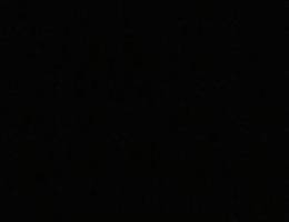  مطلوب شالية شهري او سنوي حق شباب بسعر معقول 