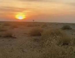  للايجار بسعد العبد الله شقتين نفس البيت كبيره وصغيره 