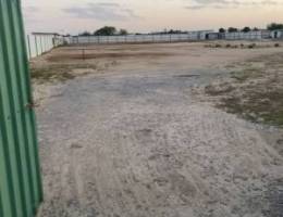  مزرعة بالوفرة شهرى 