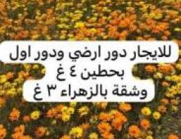  للايجار دور ٤ غرف ارضي ويوجد دور اول بعد ٧٠٠ و٧٥٠ اجار 