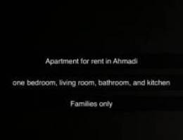  Apartment for rent 1 bedrom 1 living 