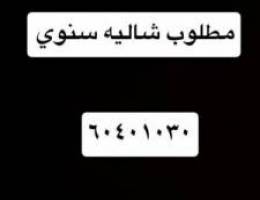  مطلوب شاليه للاجار سنوي 