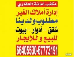  للايجار شقة ابوفطيرة غرفتين وصاله ومطبخ وحمام تشطيب ديلوكس ايجار ٣٠٠ 