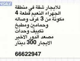  شقة للاجار في النعيم 