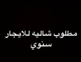  مطلوب شاليه للايجار سنوي 