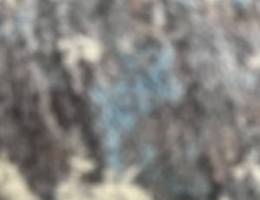  ‏السلام عليكم 