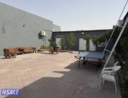  لايجار ديوانيه كبيره 