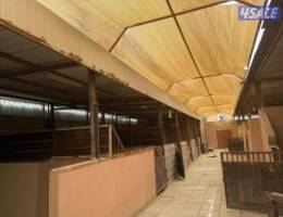  شهر اجر 10 مناجر بصلاح حق الحلال والحمام والدجاج 