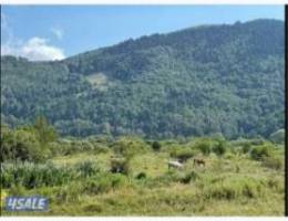  للإيجار الشهري نص استراحه بالهجن 