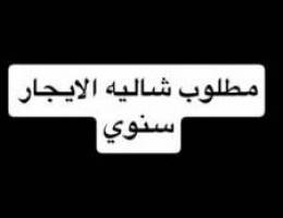  مطلوب شاليه سنوي الايجار 